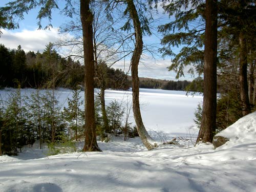 La nature quÃ©bÃ©coise sous la neige en image